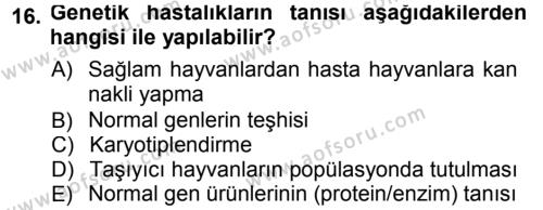 Temel Veteriner Patoloji Dersi 2012 - 2013 Yılı (Final) Dönem Sonu Sınavı 16. Soru