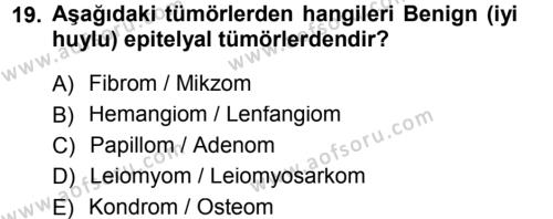 Temel Veteriner Patoloji Dersi 2012 - 2013 Yılı (Final) Dönem Sonu Sınavı 19. Soru