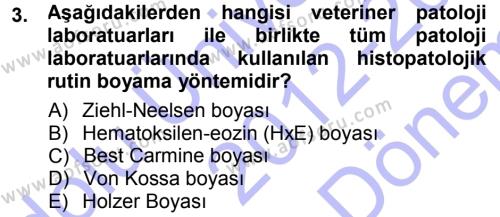 Temel Veteriner Patoloji Dersi 2012 - 2013 Yılı (Final) Dönem Sonu Sınavı 3. Soru