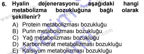 Temel Veteriner Patoloji Dersi 2012 - 2013 Yılı (Final) Dönem Sonu Sınavı 6. Soru