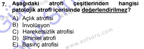 Temel Veteriner Patoloji Dersi 2012 - 2013 Yılı (Final) Dönem Sonu Sınavı 7. Soru