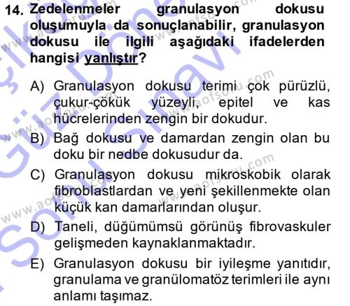 Temel Veteriner Patoloji Dersi 2013 - 2014 Yılı (Final) Dönem Sonu Sınavı 14. Soru