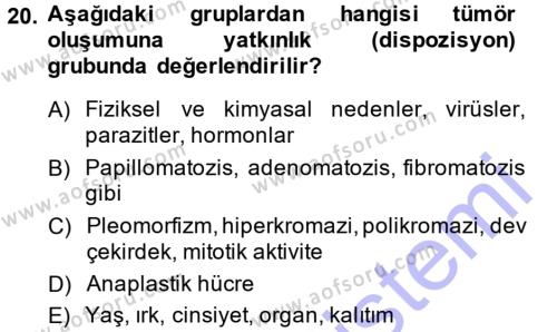 Temel Veteriner Patoloji Dersi 2013 - 2014 Yılı (Final) Dönem Sonu Sınavı 20. Soru