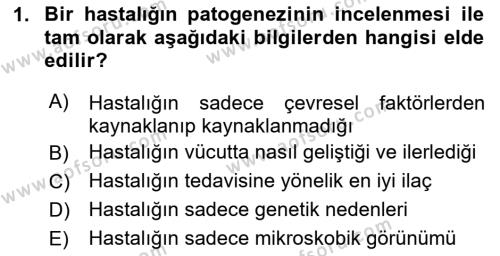 Temel Veteriner Patoloji Dersi 2024 - 2025 Yılı (Vize) Ara Sınavı 1. Soru