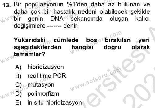 Temel Veteriner Patoloji Dersi 2024 - 2025 Yılı (Vize) Ara Sınavı 13. Soru