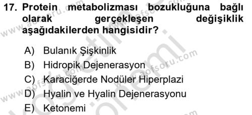 Temel Veteriner Patoloji Dersi 2024 - 2025 Yılı (Vize) Ara Sınavı 17. Soru