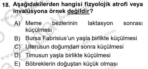 Temel Veteriner Patoloji Dersi 2024 - 2025 Yılı (Vize) Ara Sınavı 18. Soru