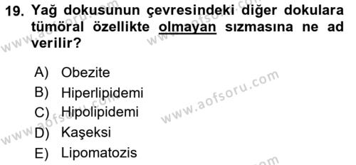 Temel Veteriner Patoloji Dersi 2024 - 2025 Yılı (Vize) Ara Sınavı 19. Soru