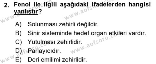 Temel Veteriner Patoloji Dersi 2024 - 2025 Yılı (Vize) Ara Sınavı 2. Soru