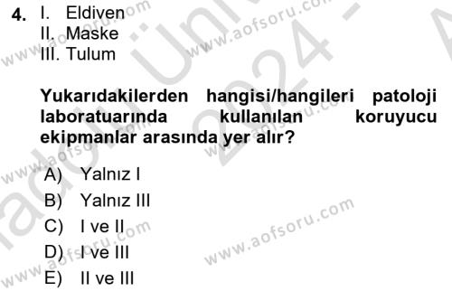 Temel Veteriner Patoloji Dersi 2024 - 2025 Yılı (Vize) Ara Sınavı 4. Soru