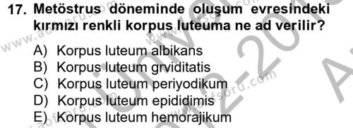 Doğum Bilgisi ve Suni Tohumlama Dersi 2012 - 2013 Yılı (Vize) Ara Sınavı 17. Soru