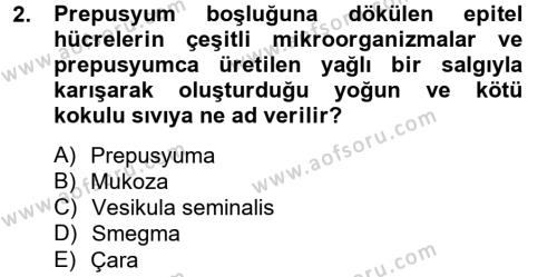 Doğum Bilgisi ve Suni Tohumlama Dersi 2012 - 2013 Yılı (Final) Dönem Sonu Sınavı 2. Soru