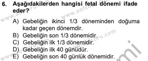 Doğum Bilgisi ve Suni Tohumlama Dersi 2012 - 2013 Yılı (Final) Dönem Sonu Sınavı 6. Soru