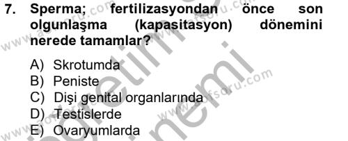 Doğum Bilgisi ve Suni Tohumlama Dersi 2012 - 2013 Yılı (Final) Dönem Sonu Sınavı 7. Soru