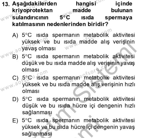Doğum Bilgisi ve Suni Tohumlama Dersi 2013 - 2014 Yılı (Vize) Ara Sınavı 13. Soru