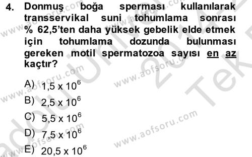 Doğum Bilgisi ve Suni Tohumlama Dersi 2014 - 2015 Yılı Tek Ders Sınavı 4. Soru