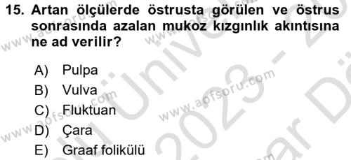 Doğum Bilgisi ve Suni Tohumlama Dersi 2023 - 2024 Yılı (Vize) Ara Sınavı 15. Soru