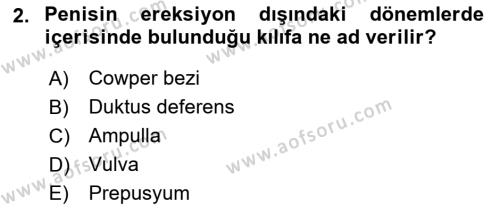 Doğum Bilgisi ve Suni Tohumlama Dersi 2023 - 2024 Yılı (Vize) Ara Sınavı 2. Soru