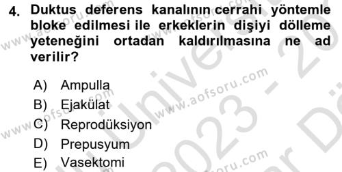 Doğum Bilgisi ve Suni Tohumlama Dersi 2023 - 2024 Yılı (Vize) Ara Sınavı 4. Soru