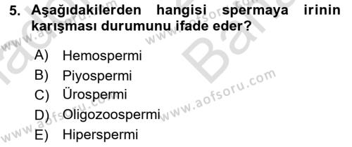 Doğum Bilgisi ve Suni Tohumlama Dersi 2023 - 2024 Yılı (Vize) Ara Sınavı 5. Soru