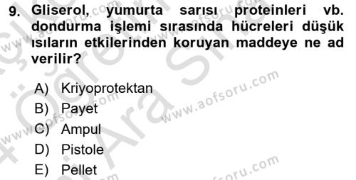 Doğum Bilgisi ve Suni Tohumlama Dersi 2023 - 2024 Yılı (Vize) Ara Sınavı 9. Soru