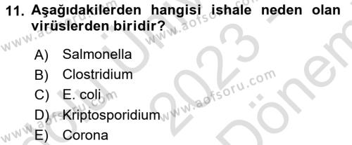 Doğum Bilgisi ve Suni Tohumlama Dersi 2023 - 2024 Yılı (Final) Dönem Sonu Sınavı 11. Soru