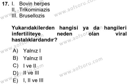 Doğum Bilgisi ve Suni Tohumlama Dersi 2023 - 2024 Yılı (Final) Dönem Sonu Sınavı 17. Soru