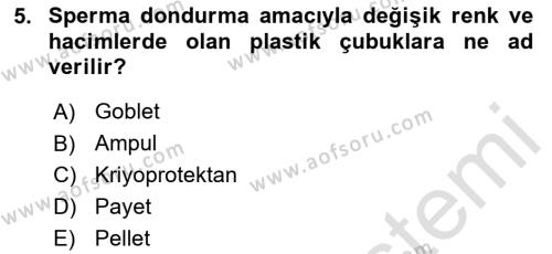 Doğum Bilgisi ve Suni Tohumlama Dersi 2023 - 2024 Yılı (Final) Dönem Sonu Sınavı 5. Soru