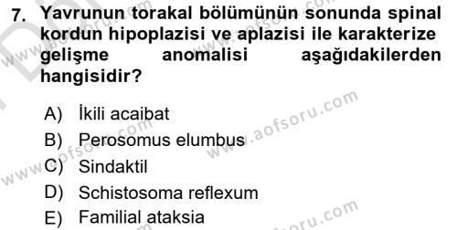 Doğum Bilgisi ve Suni Tohumlama Dersi 2023 - 2024 Yılı (Final) Dönem Sonu Sınavı 7. Soru