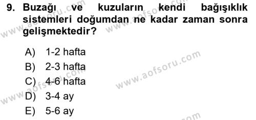 Doğum Bilgisi ve Suni Tohumlama Dersi 2023 - 2024 Yılı (Final) Dönem Sonu Sınavı 9. Soru