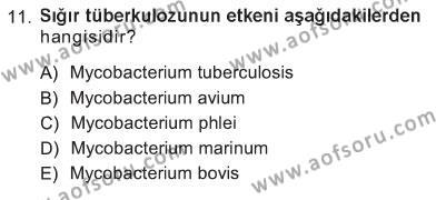 Veteriner Mikrobiyoloji ve Epidemiyoloji Dersi 2012 - 2013 Yılı Tek Ders Sınavı 11. Soru