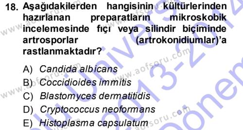 Veteriner Mikrobiyoloji ve Epidemiyoloji Dersi 2013 - 2014 Yılı (Final) Dönem Sonu Sınavı 18. Soru