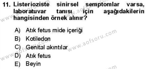 Veteriner Mikrobiyoloji ve Epidemiyoloji Dersi 2018 - 2019 Yılı (Vize) Ara Sınavı 11. Soru