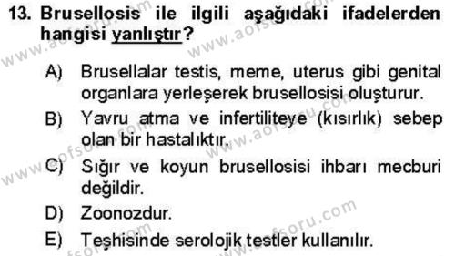 Veteriner Mikrobiyoloji ve Epidemiyoloji Dersi 2018 - 2019 Yılı (Vize) Ara Sınavı 13. Soru