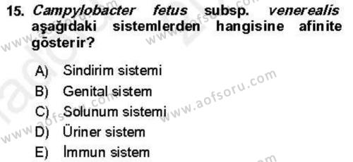 Veteriner Mikrobiyoloji ve Epidemiyoloji Dersi 2018 - 2019 Yılı (Vize) Ara Sınavı 15. Soru