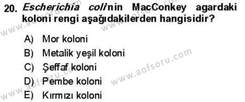 Veteriner Mikrobiyoloji ve Epidemiyoloji Dersi 2018 - 2019 Yılı (Vize) Ara Sınavı 20. Soru