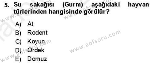 Veteriner Mikrobiyoloji ve Epidemiyoloji Dersi 2018 - 2019 Yılı (Vize) Ara Sınavı 5. Soru