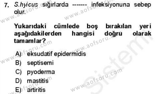 Veteriner Mikrobiyoloji ve Epidemiyoloji Dersi 2018 - 2019 Yılı (Vize) Ara Sınavı 7. Soru