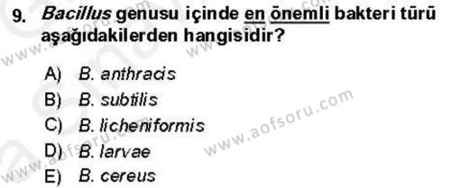 Veteriner Mikrobiyoloji ve Epidemiyoloji Dersi 2018 - 2019 Yılı (Vize) Ara Sınavı 9. Soru