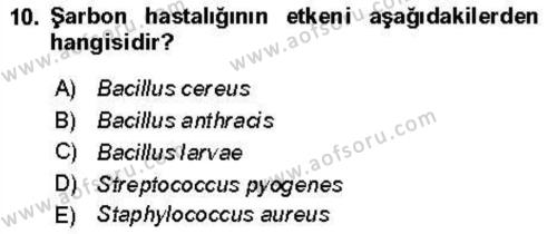 Veteriner Mikrobiyoloji ve Epidemiyoloji Dersi 2021 - 2022 Yılı (Vize) Ara Sınavı 10. Soru