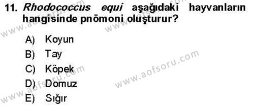 Veteriner Mikrobiyoloji ve Epidemiyoloji Dersi 2021 - 2022 Yılı (Vize) Ara Sınavı 11. Soru