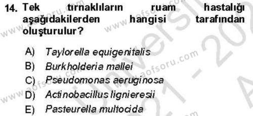 Veteriner Mikrobiyoloji ve Epidemiyoloji Dersi 2021 - 2022 Yılı (Vize) Ara Sınavı 14. Soru