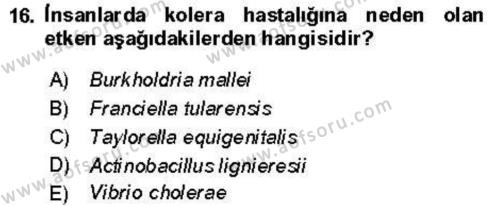 Veteriner Mikrobiyoloji ve Epidemiyoloji Dersi 2021 - 2022 Yılı (Vize) Ara Sınavı 16. Soru