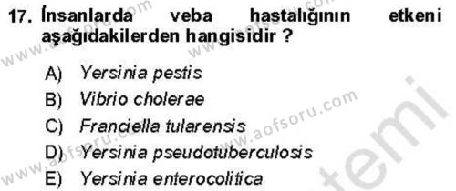 Veteriner Mikrobiyoloji ve Epidemiyoloji Dersi 2021 - 2022 Yılı (Vize) Ara Sınavı 17. Soru