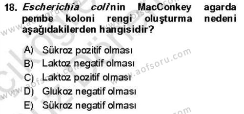 Veteriner Mikrobiyoloji ve Epidemiyoloji Dersi 2021 - 2022 Yılı (Vize) Ara Sınavı 18. Soru