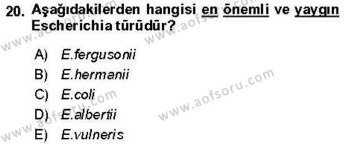 Veteriner Mikrobiyoloji ve Epidemiyoloji Dersi 2021 - 2022 Yılı (Vize) Ara Sınavı 20. Soru