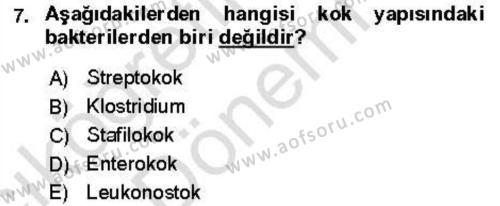 Veteriner Mikrobiyoloji ve Epidemiyoloji Dersi 2021 - 2022 Yılı (Vize) Ara Sınavı 7. Soru