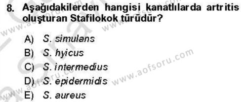 Veteriner Mikrobiyoloji ve Epidemiyoloji Dersi 2021 - 2022 Yılı (Vize) Ara Sınavı 8. Soru