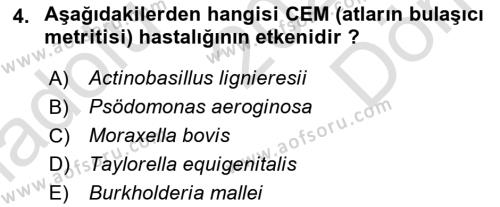 Veteriner Mikrobiyoloji ve Epidemiyoloji Dersi 2021 - 2022 Yılı (Final) Dönem Sonu Sınavı 4. Soru