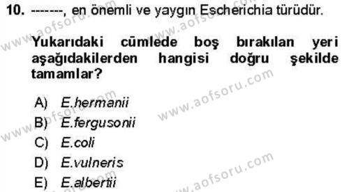 Veteriner Mikrobiyoloji ve Epidemiyoloji Dersi 2021 - 2022 Yılı Yaz Okulu Sınavı 10. Soru